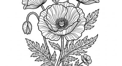 Free printable Poppy coloring page