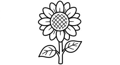 Flowers coloring page preview